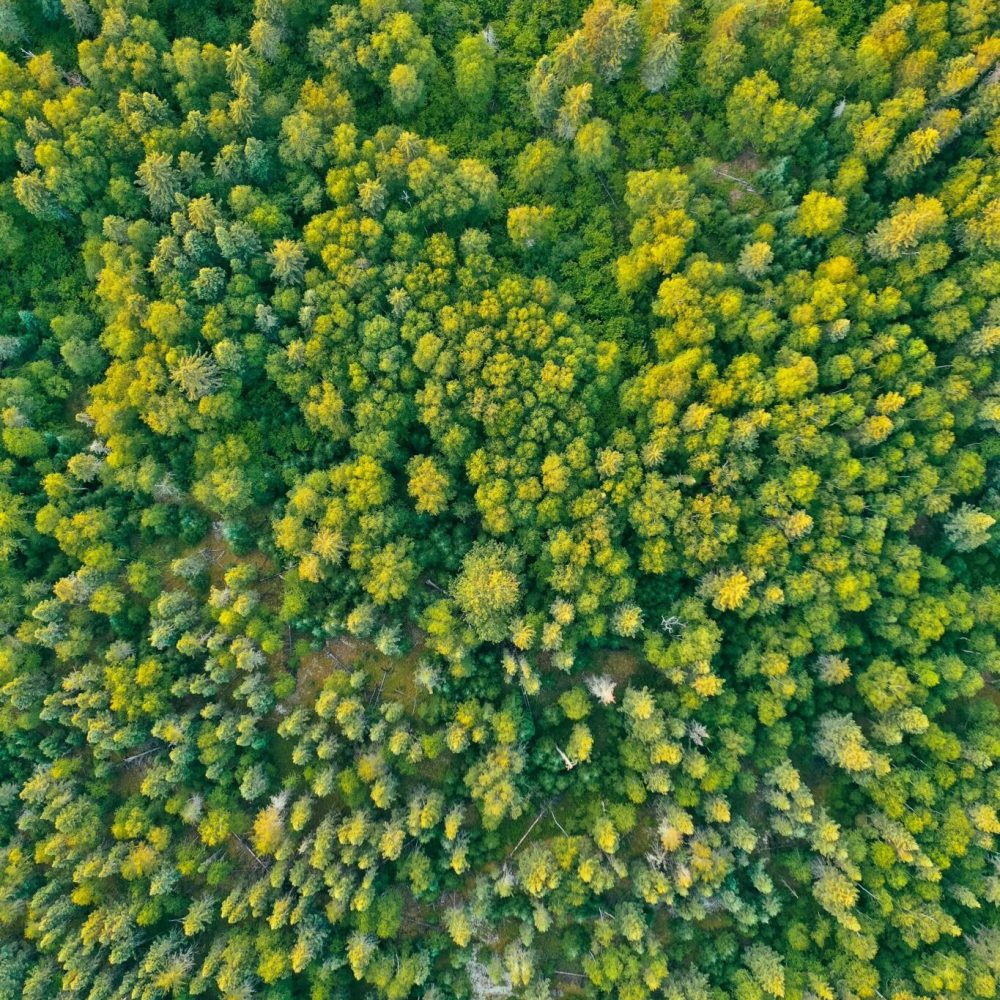 drew-dau-w8uYD-4zbEo-unsplash